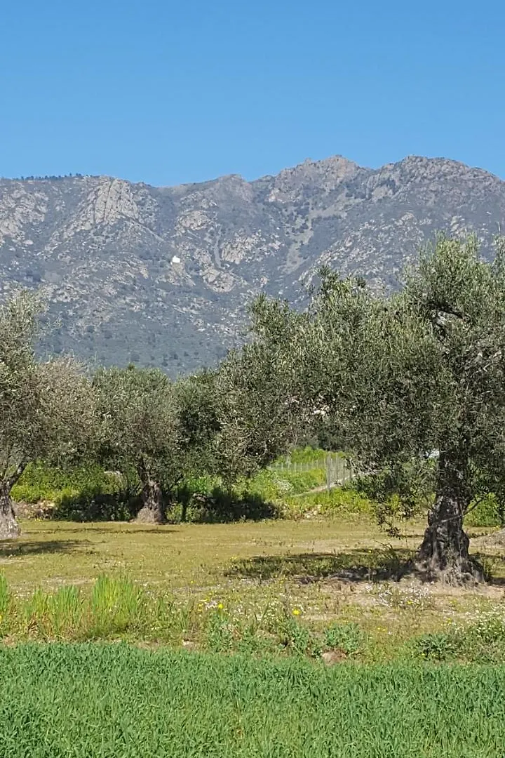 Ca La Sonia Konuk evi Pau 0*,  İspanya